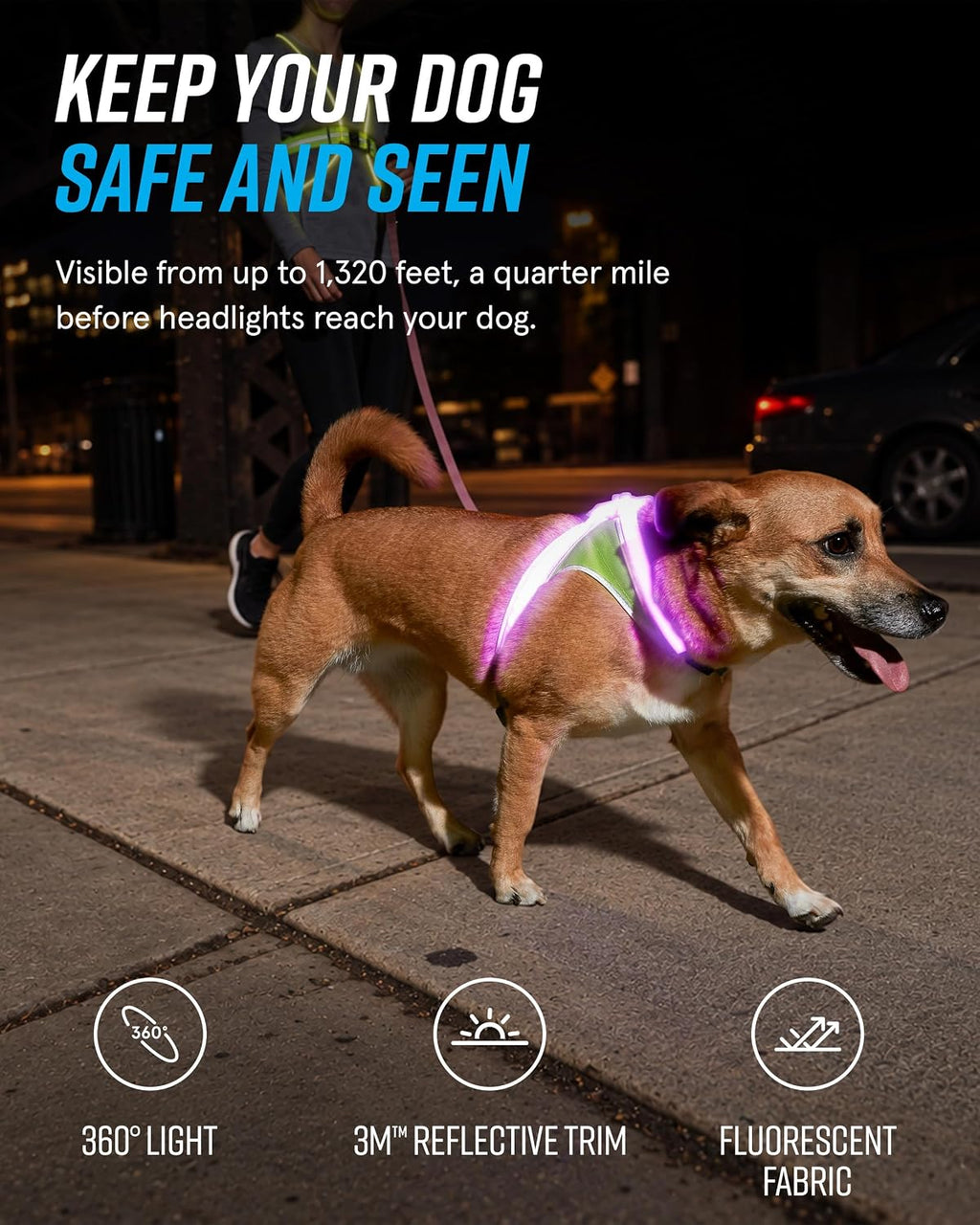 noxgear LightHound Light Up Reflective Dog Harness, Large