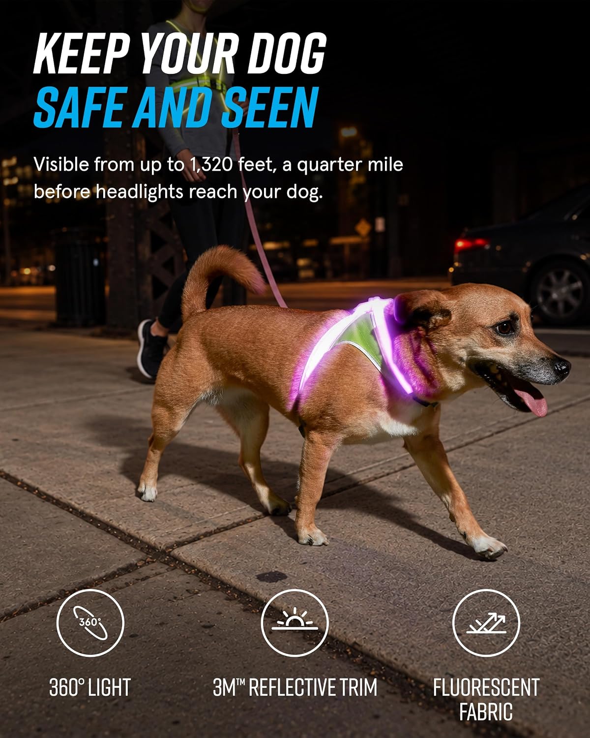 noxgear LightHound Light Up Reflective Dog Harness, Large