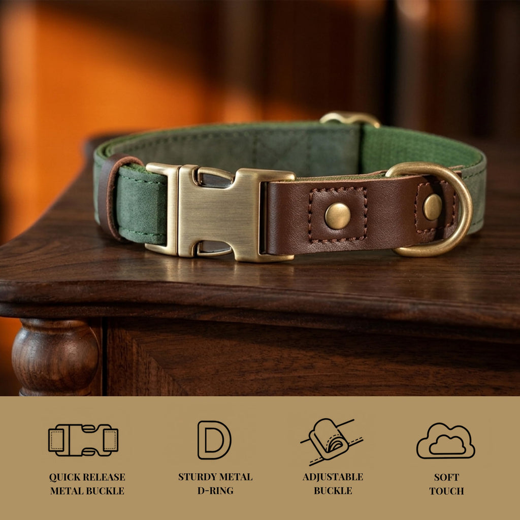 Didog PU Leather Dog Collar for Small Dogs Puppy, Soft Lining, Green S