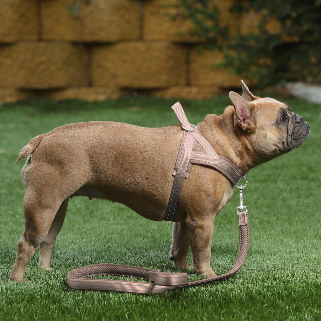 Plutus Pet No Pull Dog Harness with Front Clip, Breathable Mesh Padded