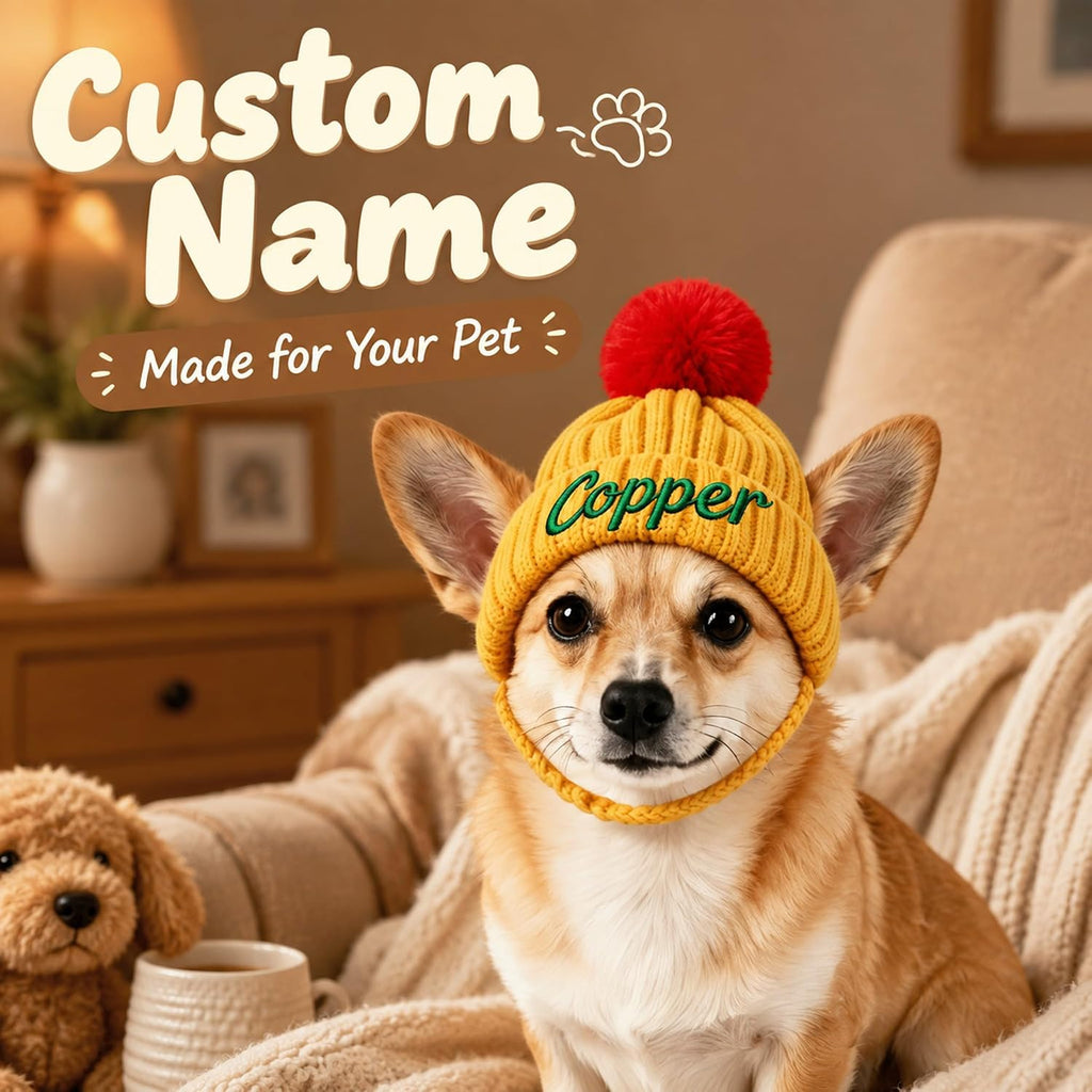 Personalized dog hats Custom Name Embroidered Knit Winter Hat Pet