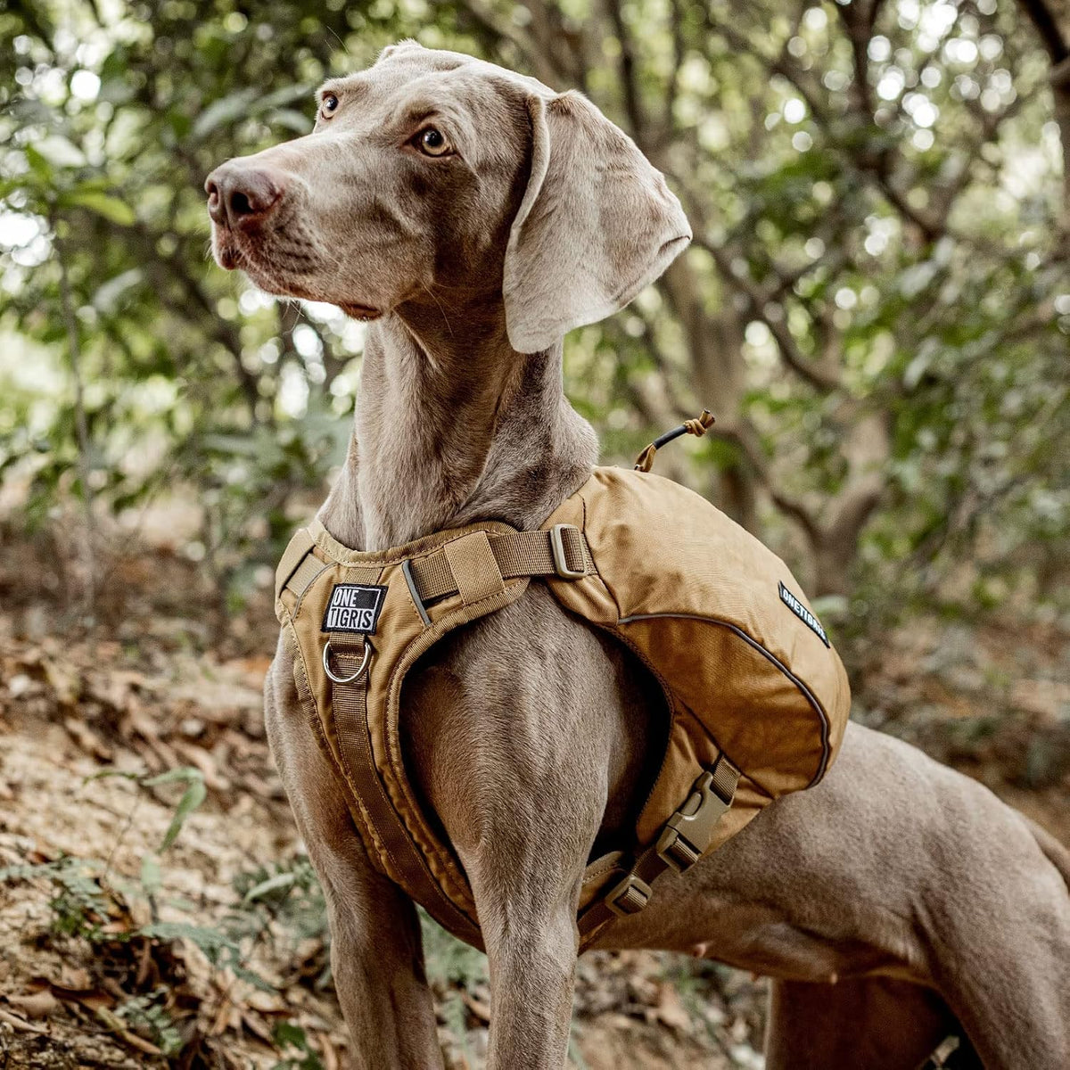 ONETIGRIS Y-Shaped Dog Backpack No Pull CAMLUS Dog Saddle Bag with D-Rings, Lightweight Dog Pack Hiking Gear for Dogs Hu