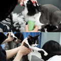 Detachable A Series 10 Cat Clippers Blade Cut Length 1.5mm Japanese Carbonized Steel Cat Grooming Supplies | Cat Groomin