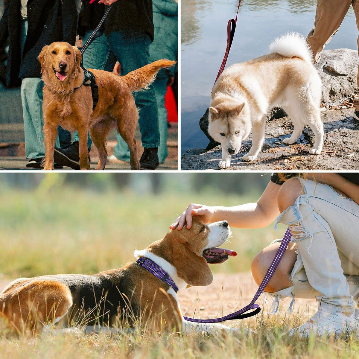 Hikiko Double Handle Dog Leash with Two Comfortable Padded Handles