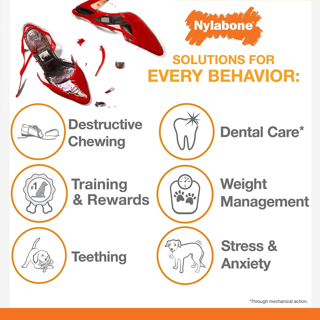 Nylabone Lobster Power Chew Toy for Dogs, Dog Toys for Aggressive Chewers