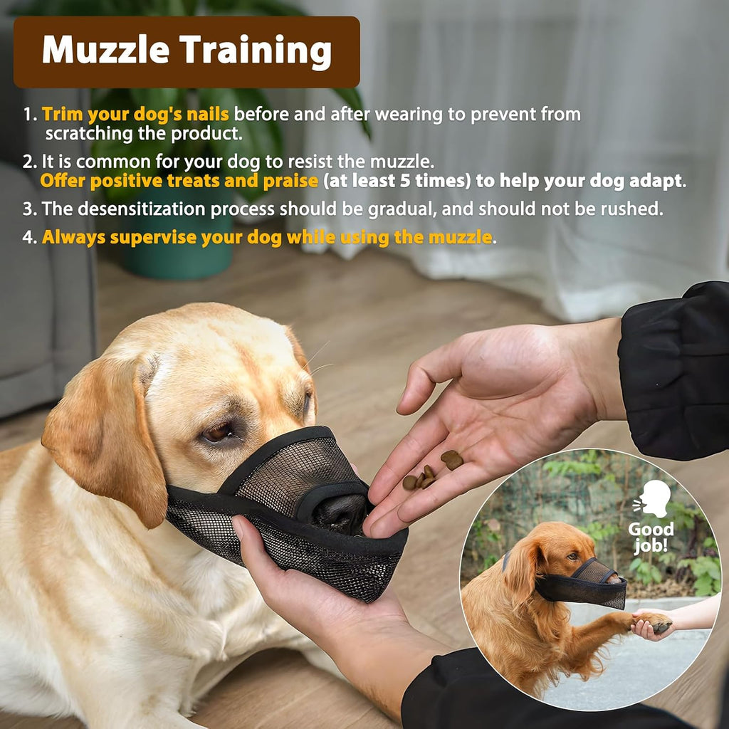Crazy Felix Dog Muzzle Anti Eating for Small Medium Large Dogs, M, Black