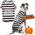 Parisian Pet Dog Halloween Costume - Prisoner Halloween Costumes for Dogs