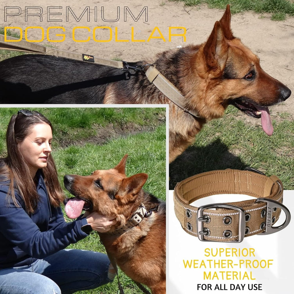 Heavy Duty Dog Collar for Large Dogs with Traffic Handle