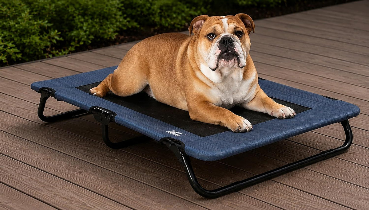 Pet Gear Lifestyle Pet Cot Elevated Bed, 30 Inch, Slate Blue