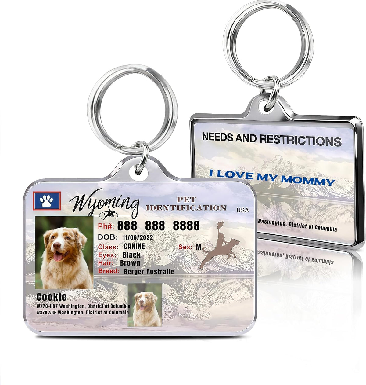 Personalized Dog & Cat Tags with Photo - Custom Driver License Pet ID Tag