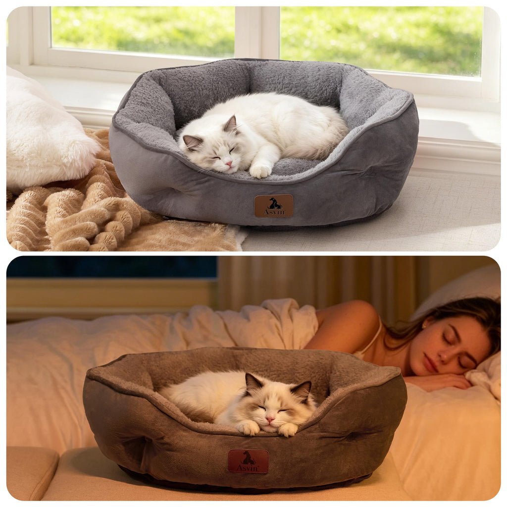Asvin Small Dog Bed for Small Dogs, Cat Beds for Indoor Cats, Pet Bed for Puppy and Kitty, Extra Soft & Machine Washable with Anti-Slip & Water-Resistant Oxford Bottom, Grey, 20 inches