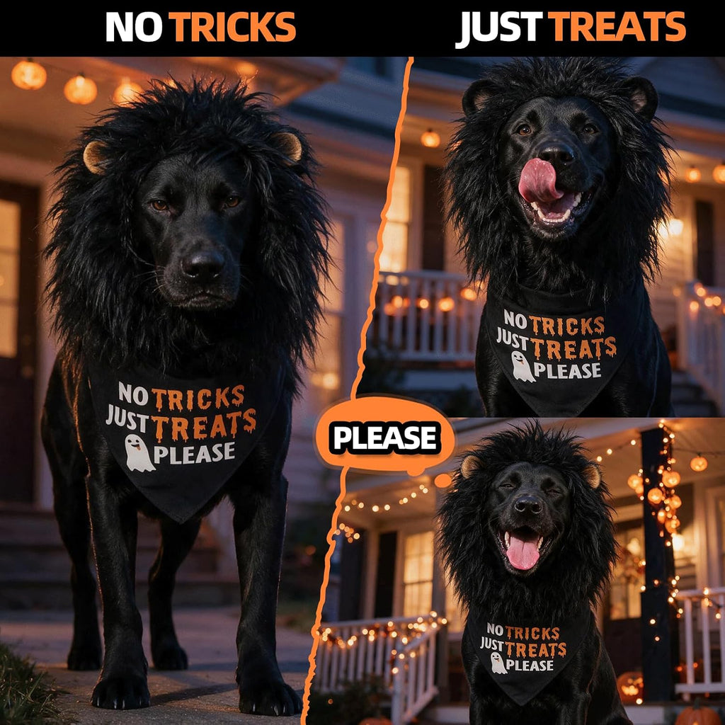 Halloween Dog Bandanas with No Tricks Sign, 7-30lbs Pet