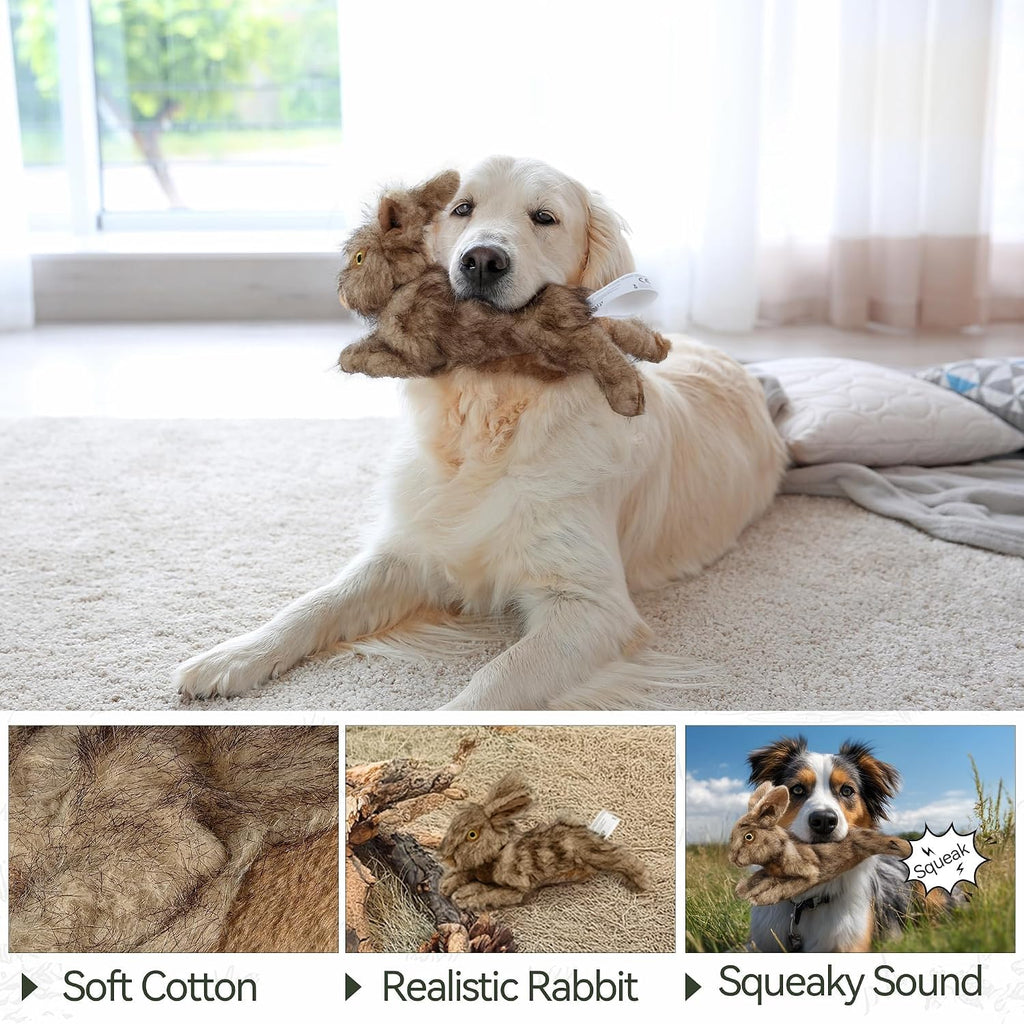ALL FOR PAWS Rabbit Squeaky Doy Toy, Bunny Dog Toy for Medium Large Breed, Puppy Fetch Toy with Squeaker, Plush Chew Dog