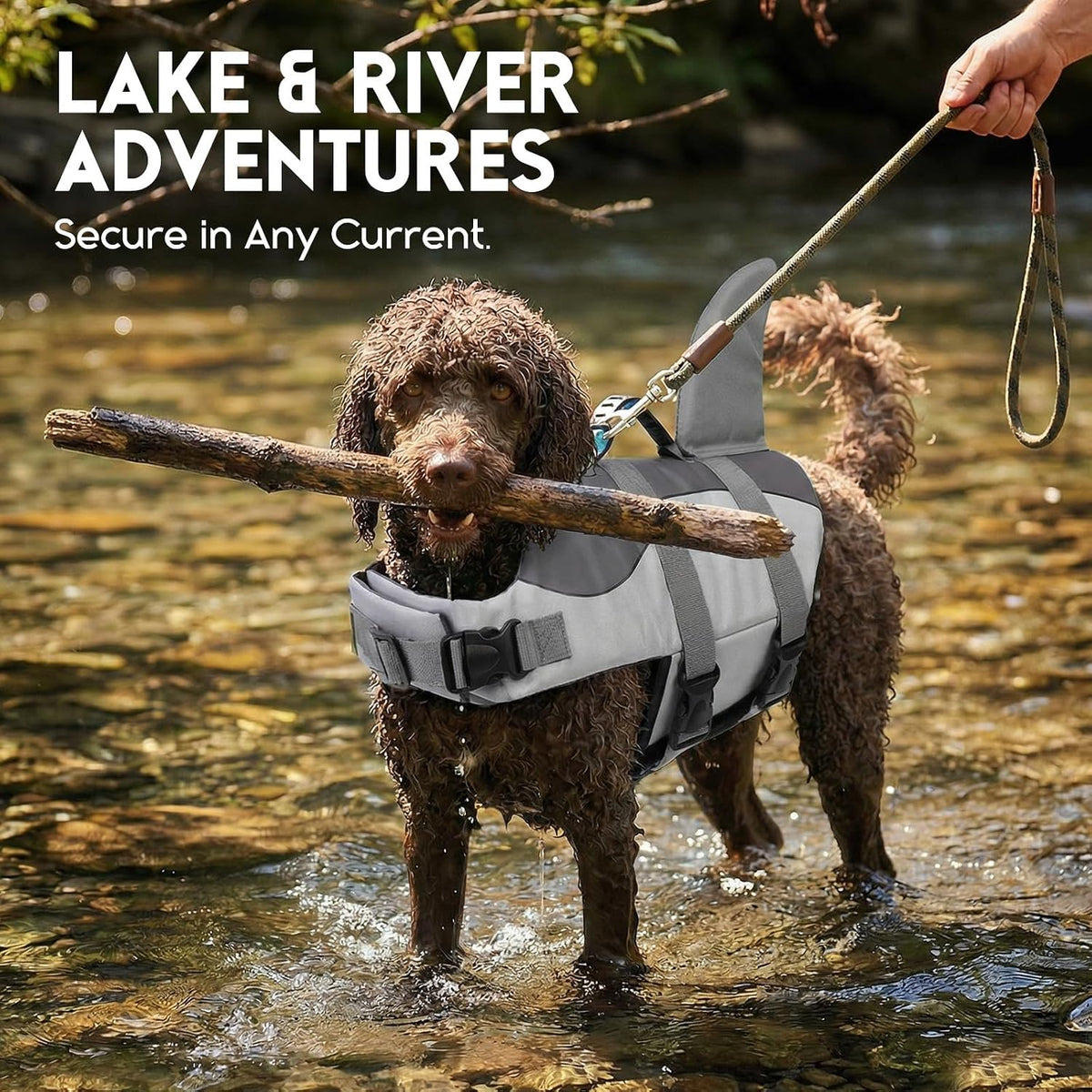 ASENKU Dog Life Jacket - Pet Safety Vest for Swimming & Boating, Shark Life Jacket with Floatation, Dog Lifesavers Swims