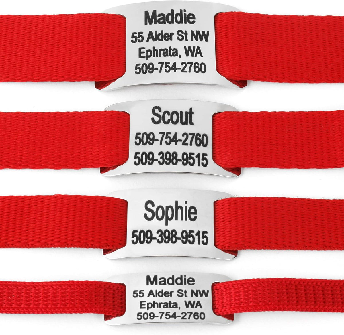 GoTags Slide-On Pet ID Tag, Silent Stainless Steel Personalized Dog Tag