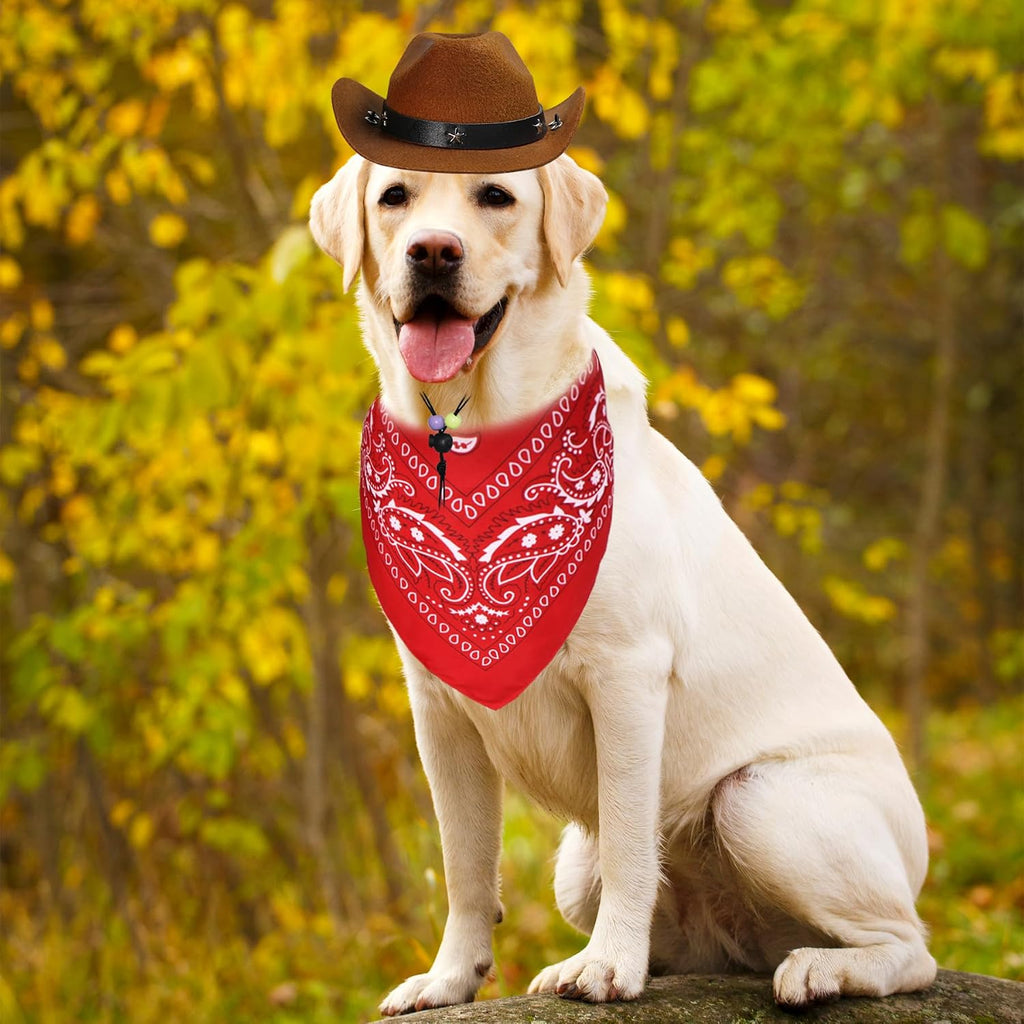 Goyoswa Halloween Dog Costume - Cowboy Hat & Bandana, Brown & Red, Large