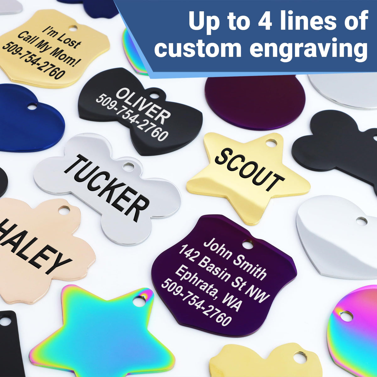 GoTags Stainless Steel Pet ID Tags, Personalized Dog Tags and Cat Tags