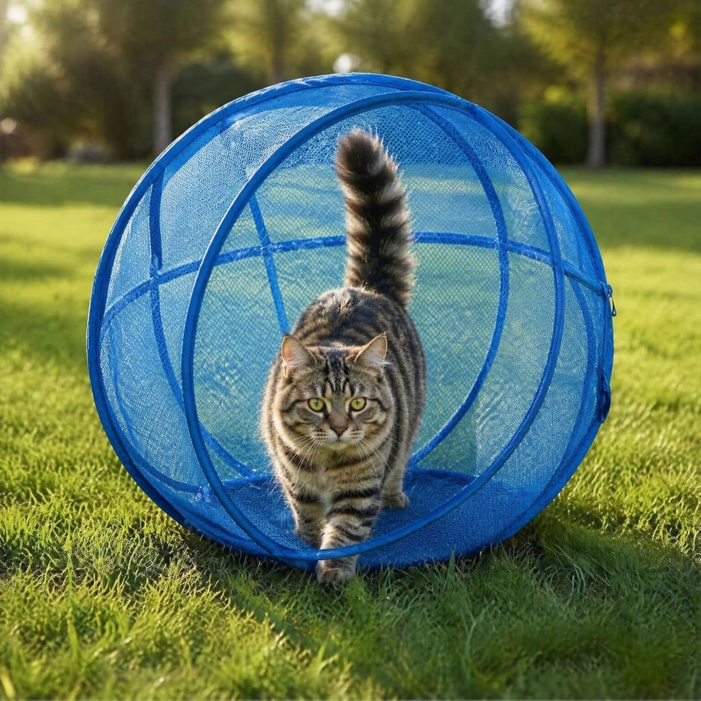 Portable Outdoor Cat Enclosure Ball Cat Cage Pop-Up Cat Playpen (Black)