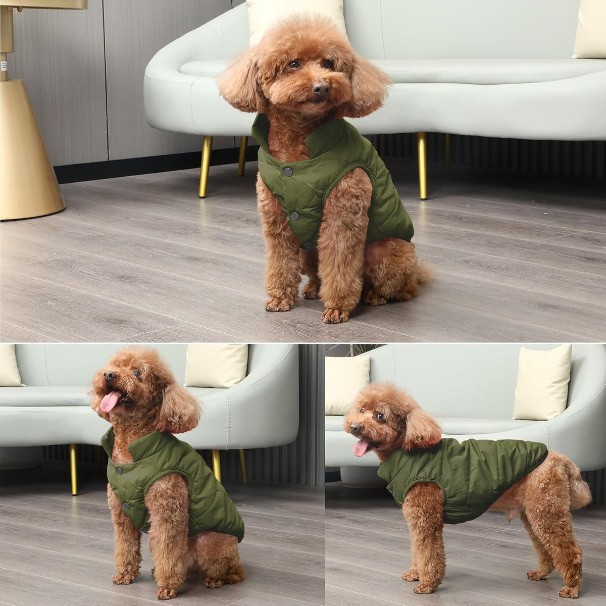 Fleece Lined Dog Jacket for Small Dogs,Winter Dog Coat,Green S