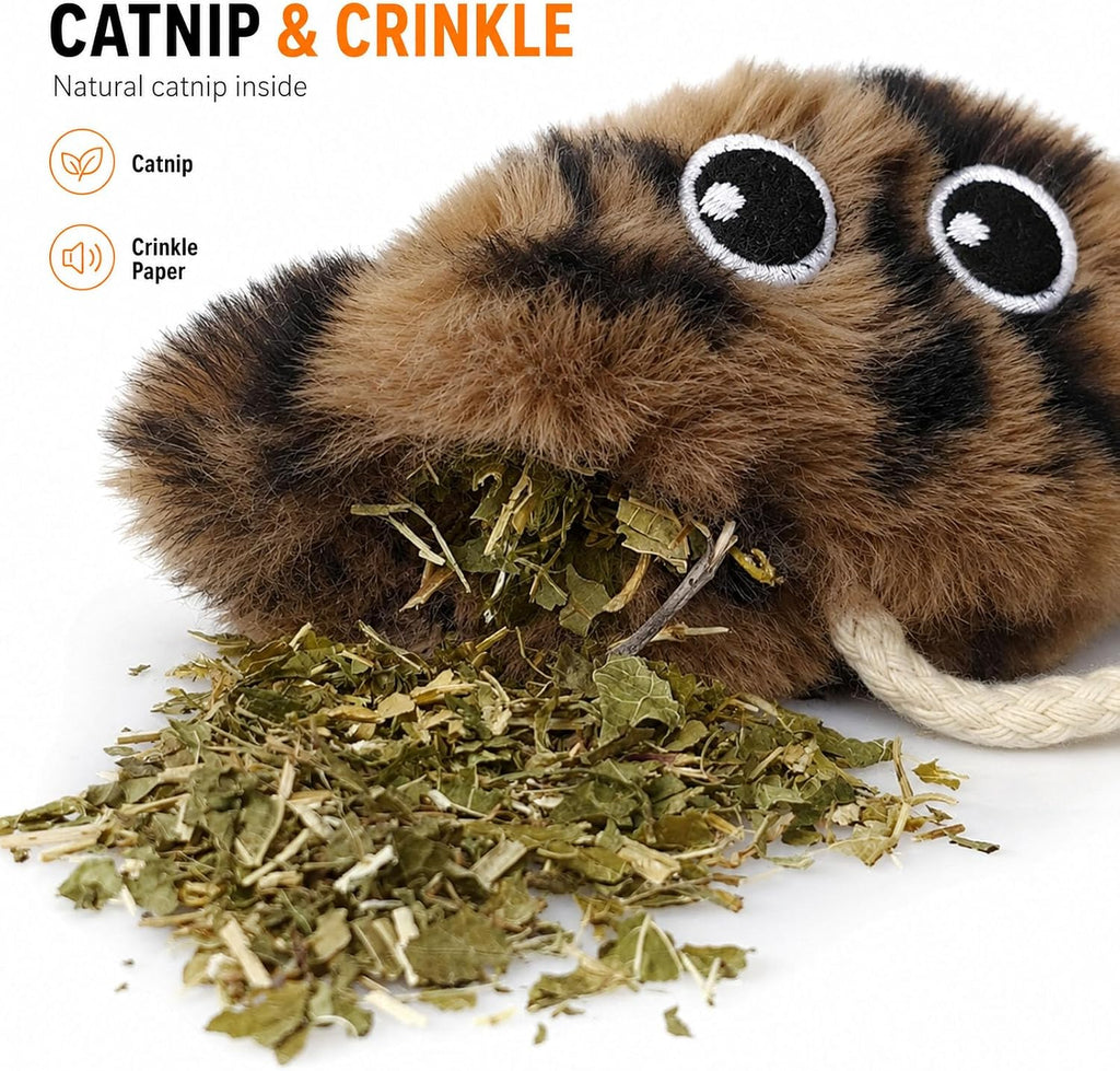 Cat Toys for Indoor Cats,Interactive Door Hanging Cat Toys Attached with Catnip/Feathers/Birds/Worm Toys for Cats/Kitten