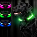 Bamda Light Up Dog Collar for Large Dogs, Super Bright Glow Collar, Green