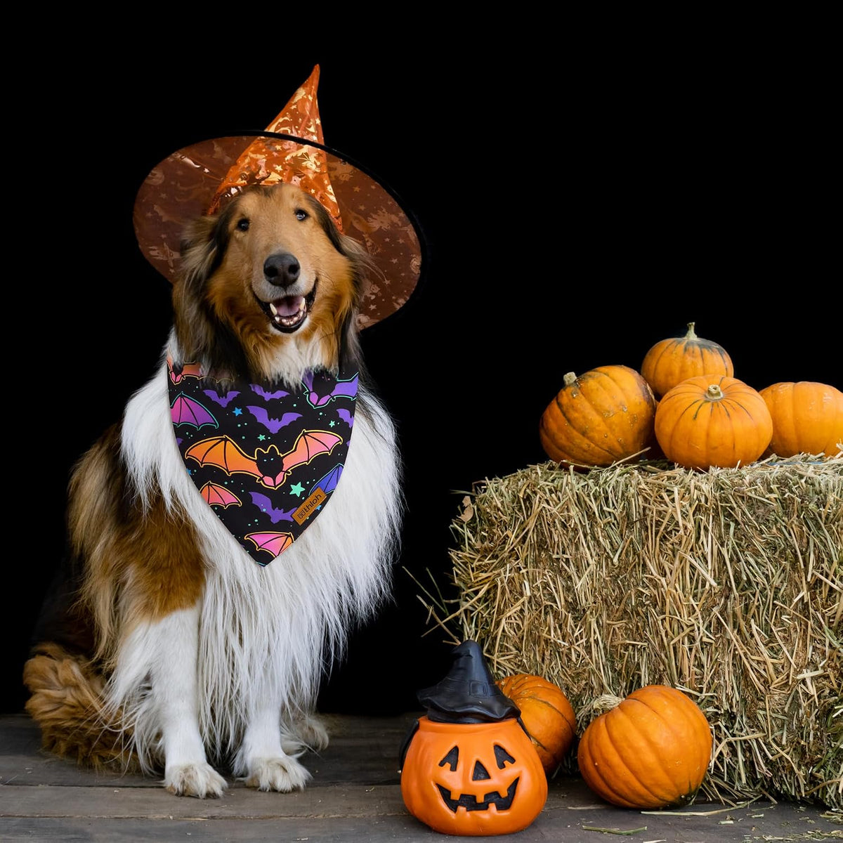 Halloween Dog Bandanas - 2 Pack Reversible Pumpkin and Bat Pet Scarf for Boys and Girls | Fall Dog Bibs | Premium Durabl