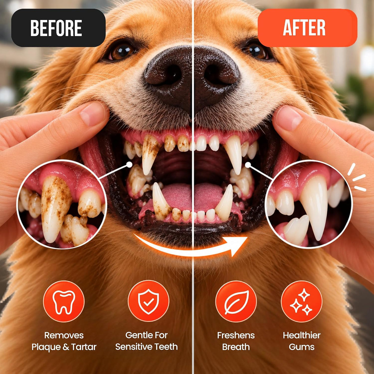 NoBark Ultrasonic Dog Teeth Cleaner Kit - Dog Plaque Remover Tool, 5 Modes