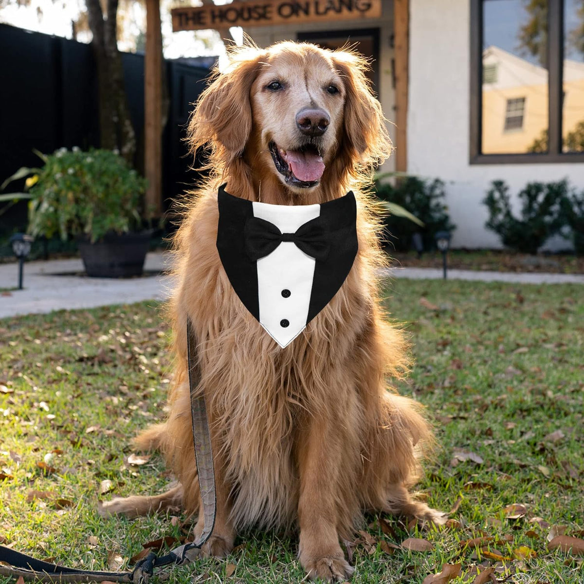 GOYOSWA Dog Tuxedo Suit Wedding Bandana Collar with Bow Tie, Adjustable Formal Dog Tux, Engagement Birthday Tuxedo for S