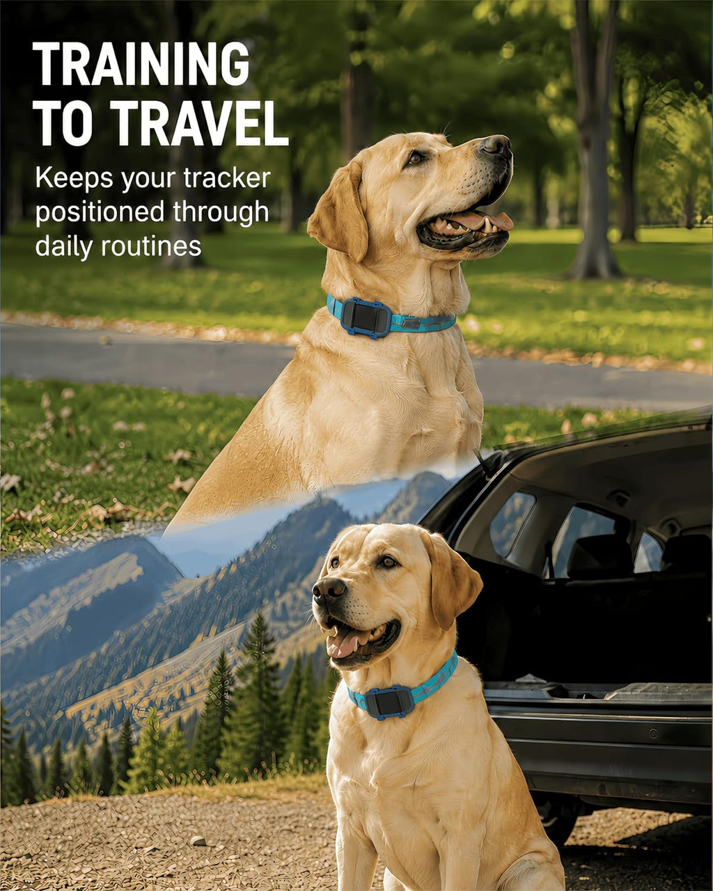 Dog Collar Tracker Holder Compatible with Fi Mini, Open Charging Port Mount (Blue)
