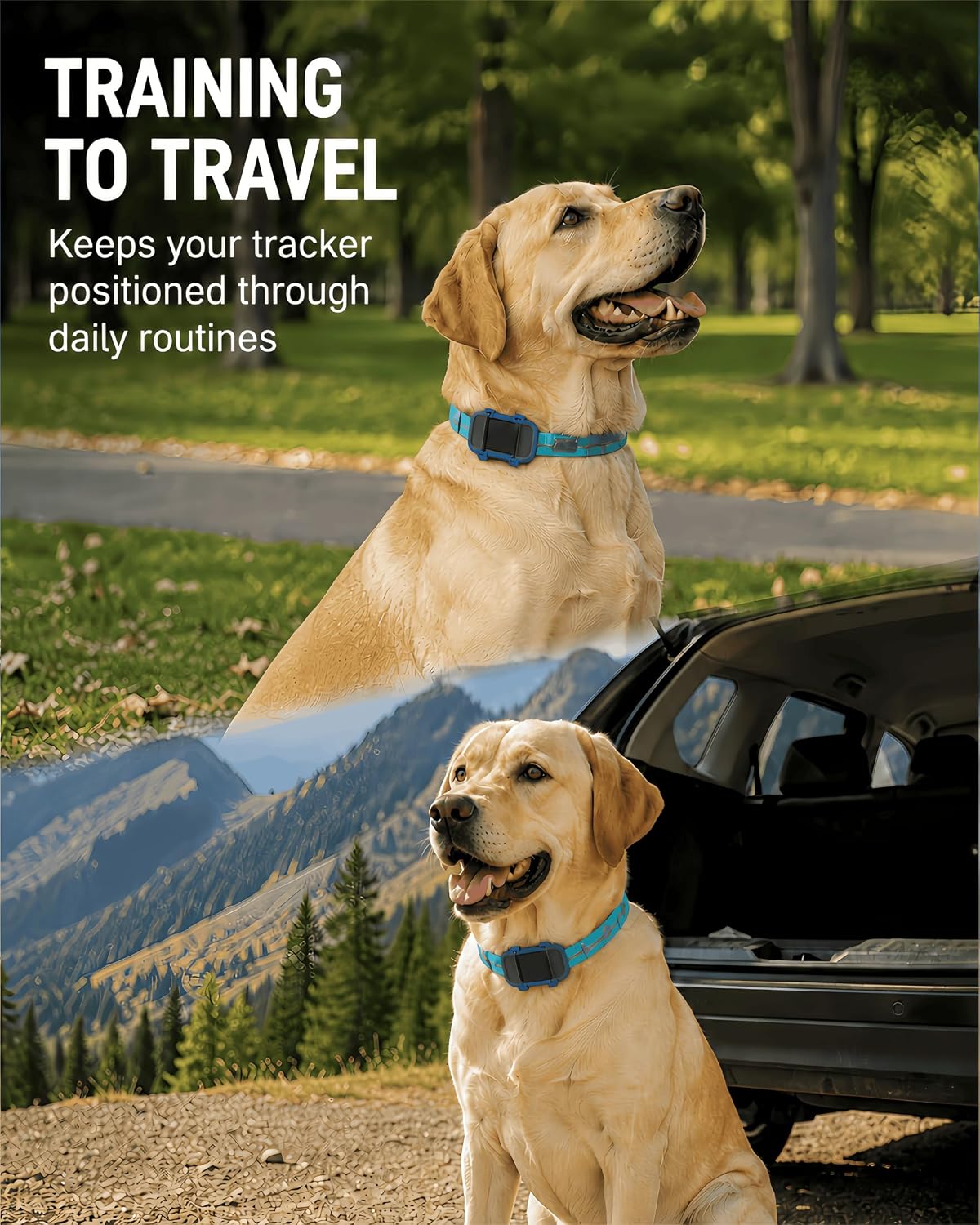 Dog Collar Tracker Holder Compatible with Fi Mini, Open Charging Port Mount (Blue)