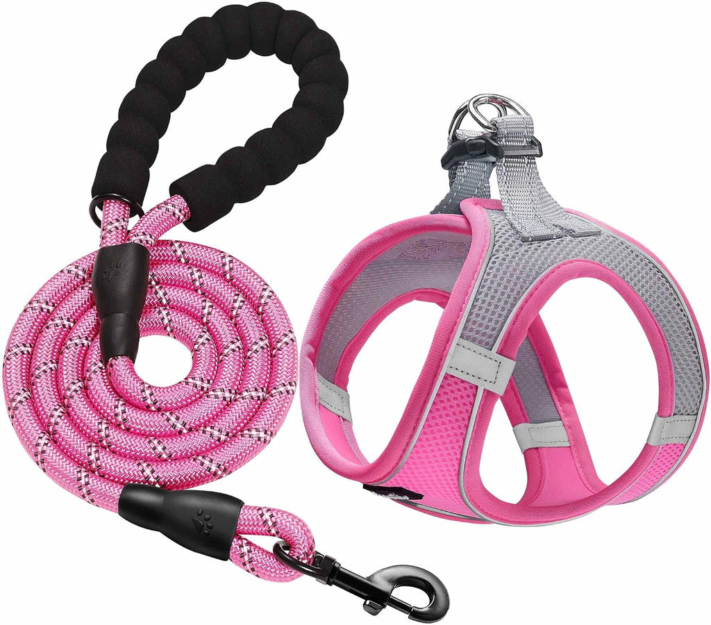 haapaw Dog Harness with Leash Set, No Pull Adjustable Reflective Step-in Puppy Harness with Thickened Padded Vest for Ex
