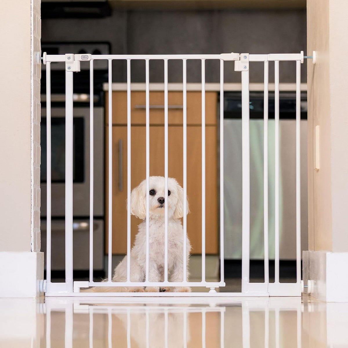 MYPET StepSafe Walk-Thru Pet Gate; 29-40" Wide, 30" Tall, Black