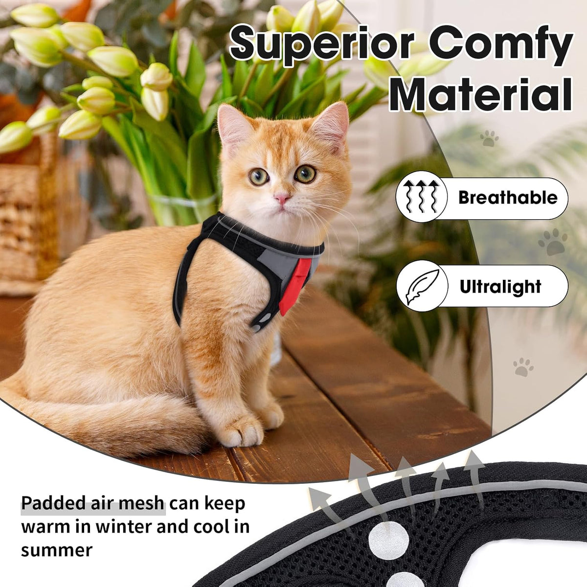 Cat Harness and Leash Set for Walking Escape Proof Vest for Kitten