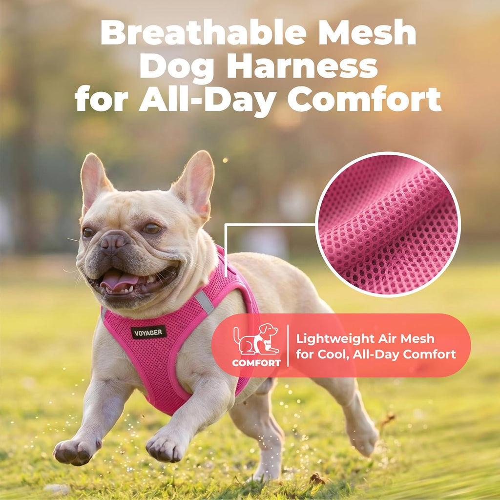 Voyager Step-in Air Dog Vest Harness - Fuchsia, Small
