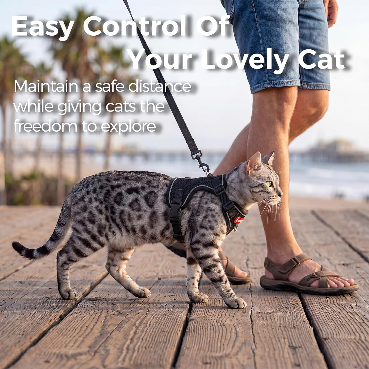 Cat Harness and Leash Set, Lightweight Air-Mesh Cat Vest, Black, XXL