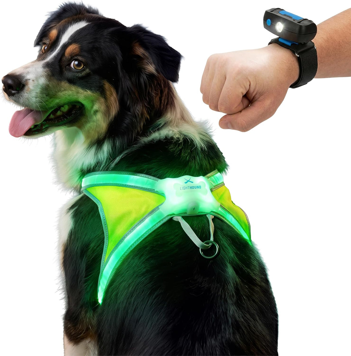 noxgear LightHound Light Up Reflective Dog Harness, Large