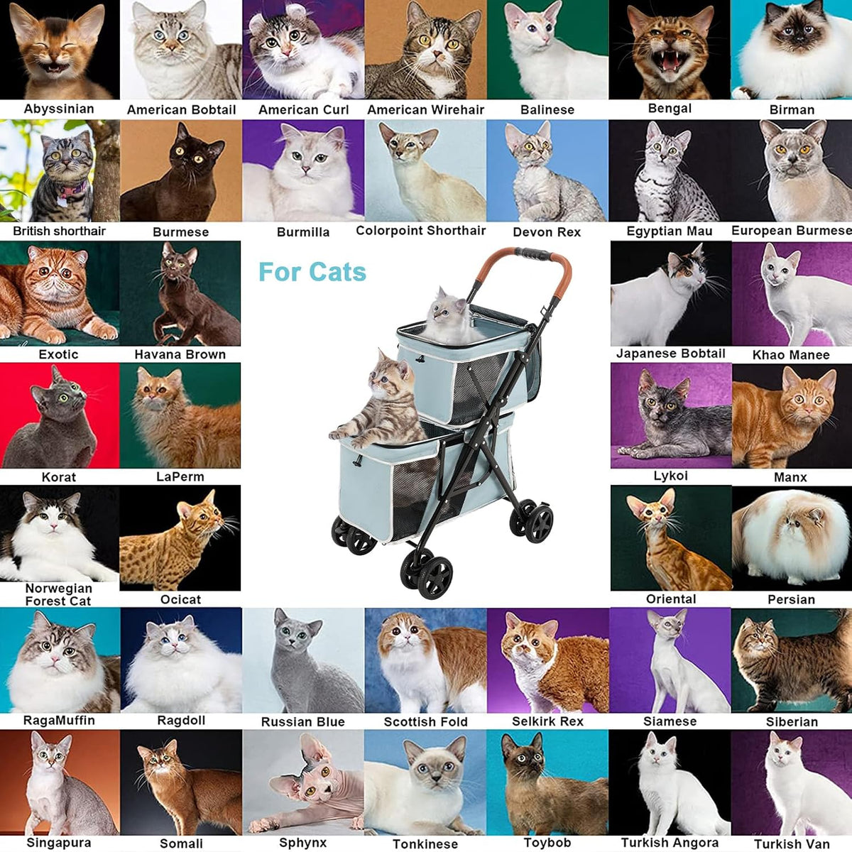 Double Pet Stroller for 2 Dogs & Cats, Double-Decker, Blue