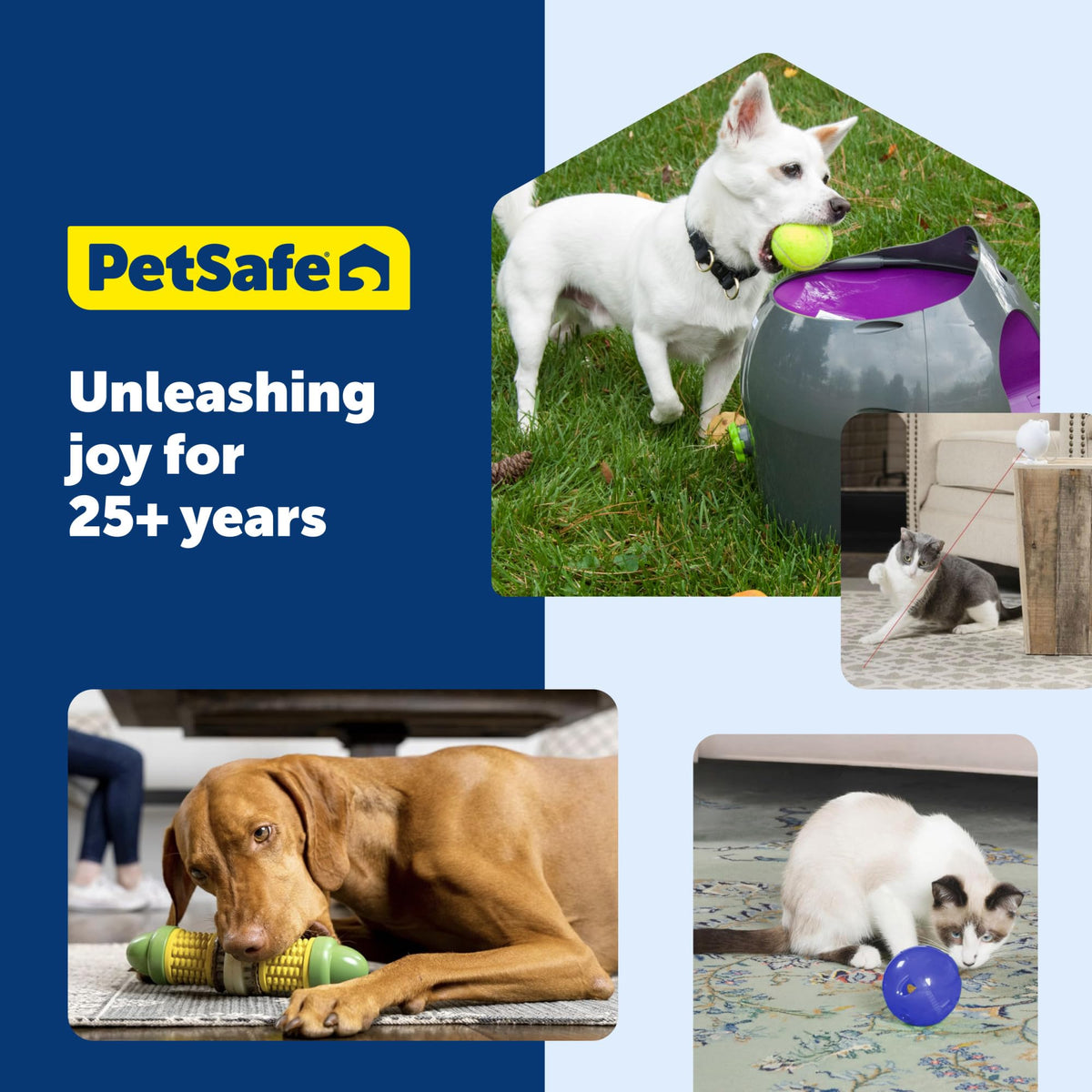 PetSafe Slimcat Feeder Ball Cat Toy, Blue