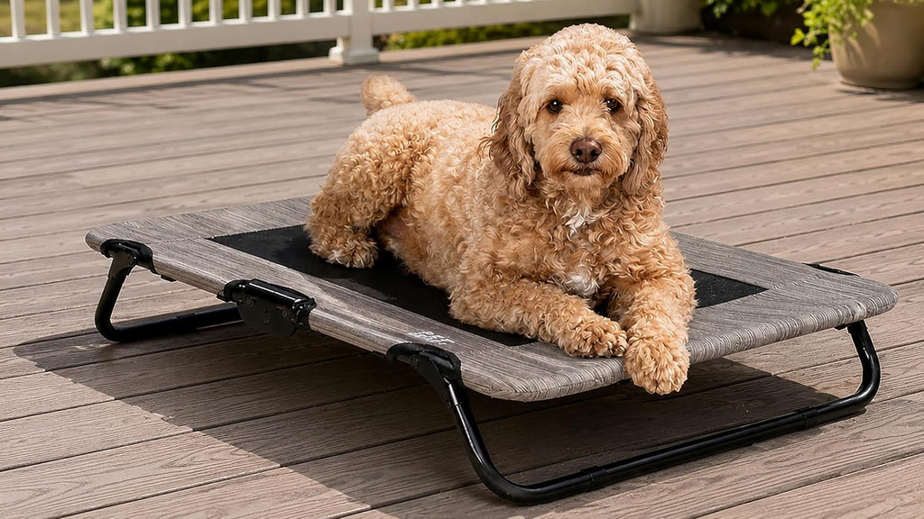Pet Gear Lifestyle Pet Cot Elevated Bed, 30 Inch, Slate Blue