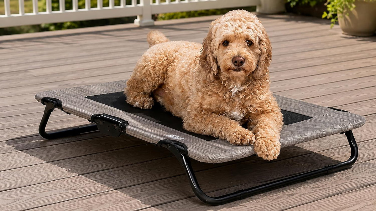 Pet Gear Lifestyle Pet Cot Elevated Bed, 30 Inch, Slate Blue