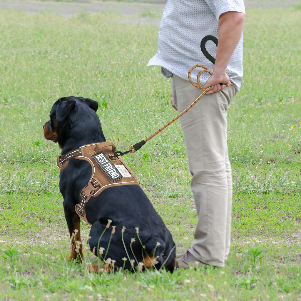 Beebiepet Tactical No Pull Dog Harness with Leash, Large, Brown