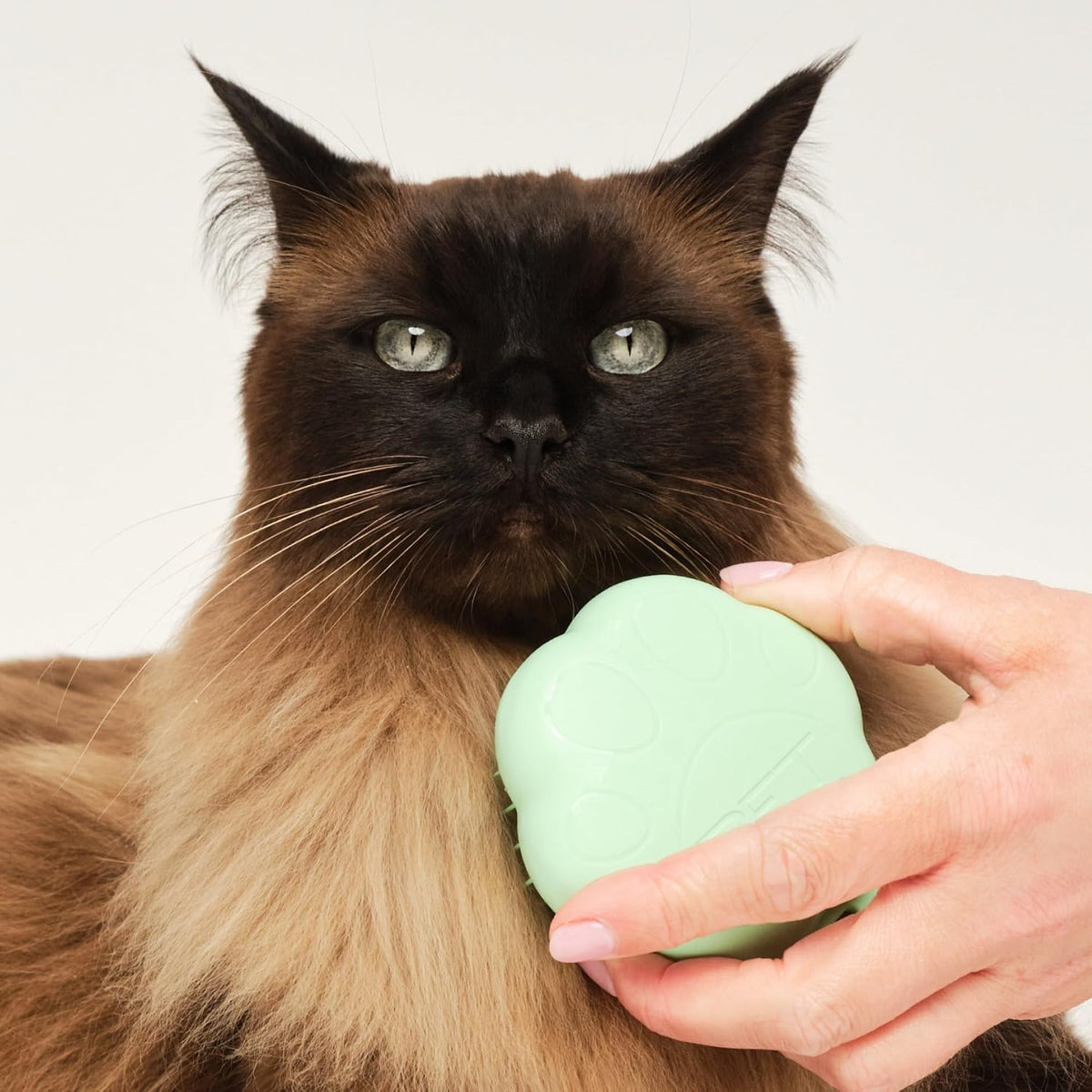 Pet Teezer Cat Brush for De-Shedding Short to Medium Fur, Green