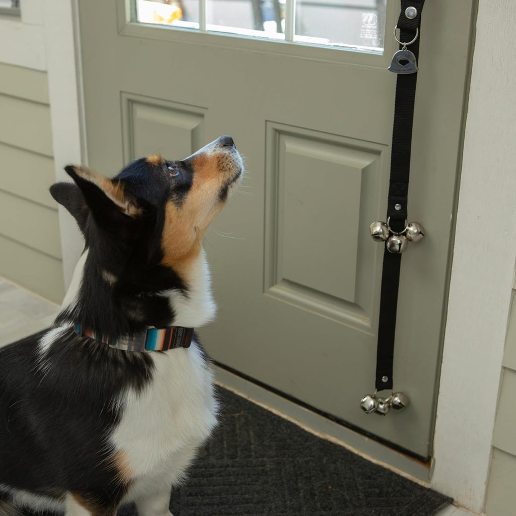 Caldwell's Pet Supply Co. Dog Potty Bells, Dog Door Bell, Bells to Go Outside, Potty Training Bell, Dogs Doorbell, Dogs 