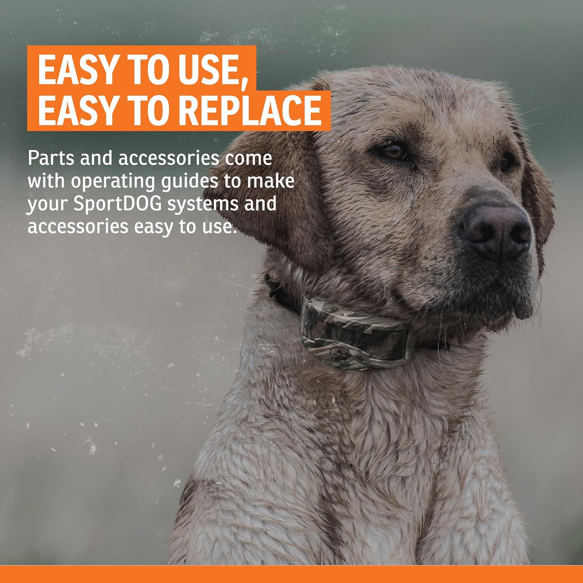 SportDOG Roy Gonia Special Whistle - Orange Without Pea