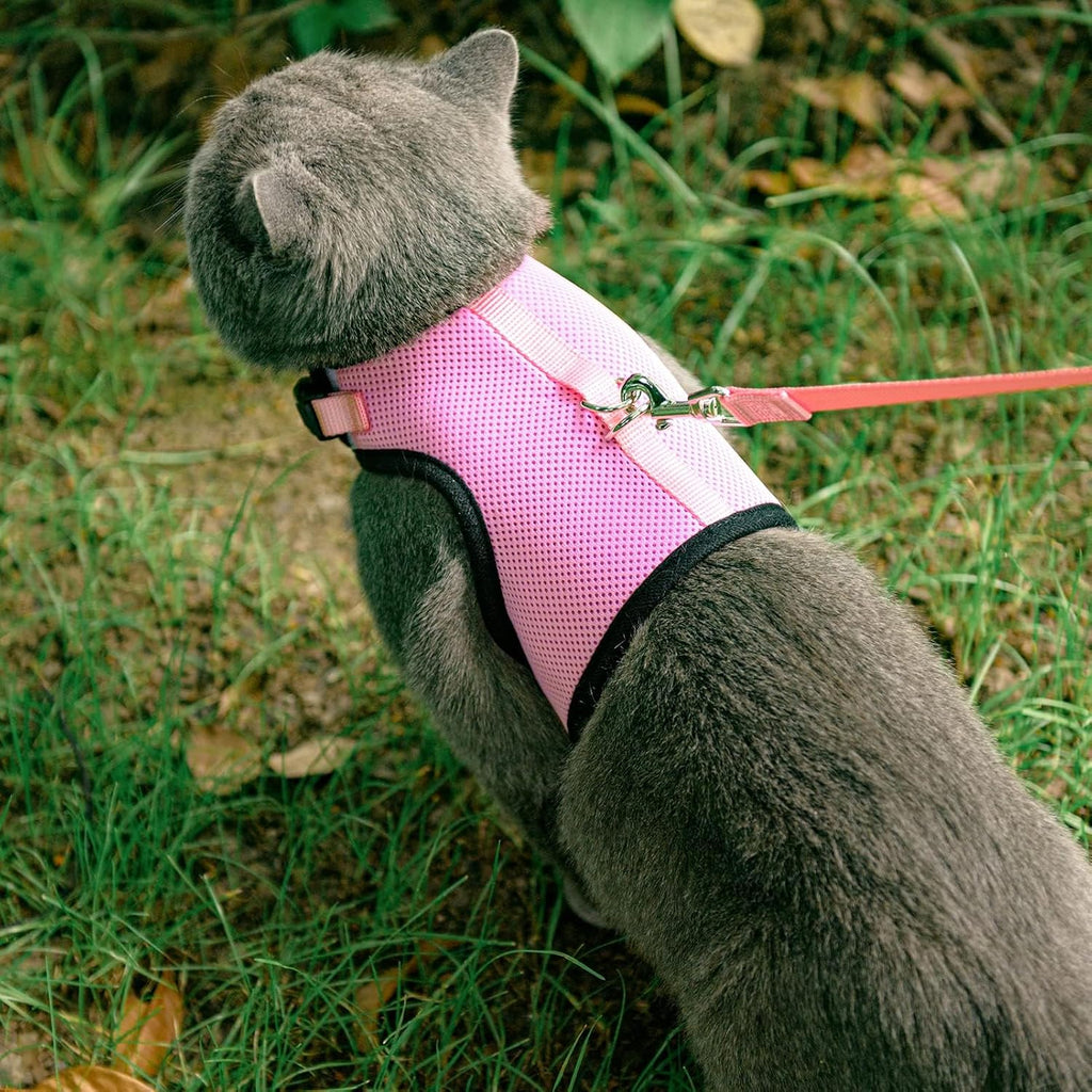 PUPTECK Soft Mesh Cat Vest Harness and Leash Set Puppy Padded Pet Harnesses Escape Proof for Cats Small Dogs Rabbits Bun