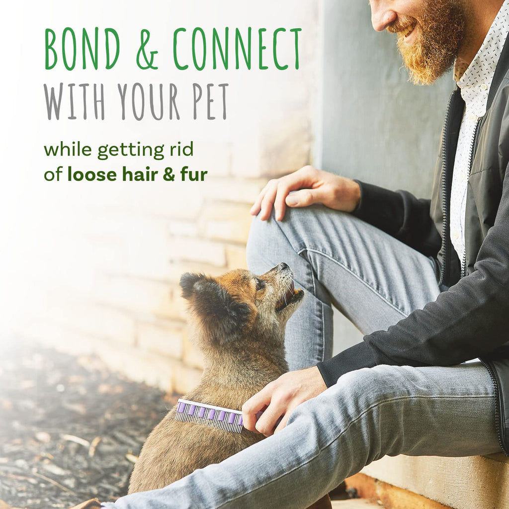 Small Pet Select Hair Buster Comb for Rabbits, Cats & Dogs