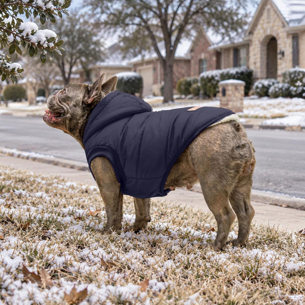 Vecomfy Warm Dog Coats with Hoodie,Winter Dog Jackets for Small Dogs