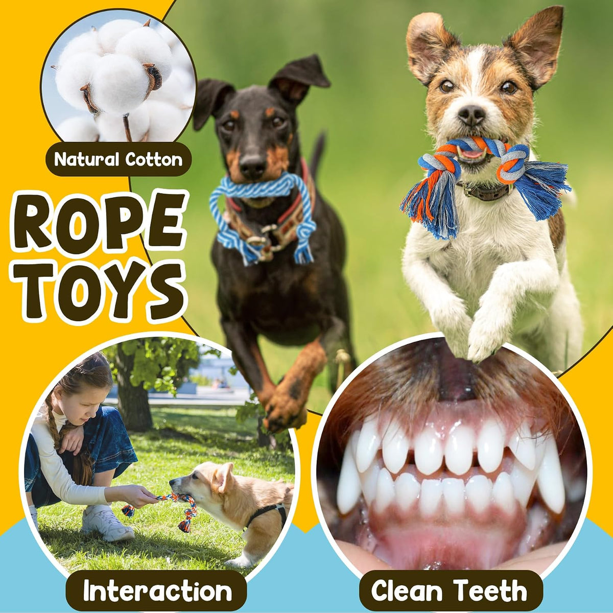 Zeaxuie 9 Pack Luxury Puppy Toys for Teething Small Dogs, Puppy Chew Toys with Cute Squeaky Dog Toys, Ball and More Rope
