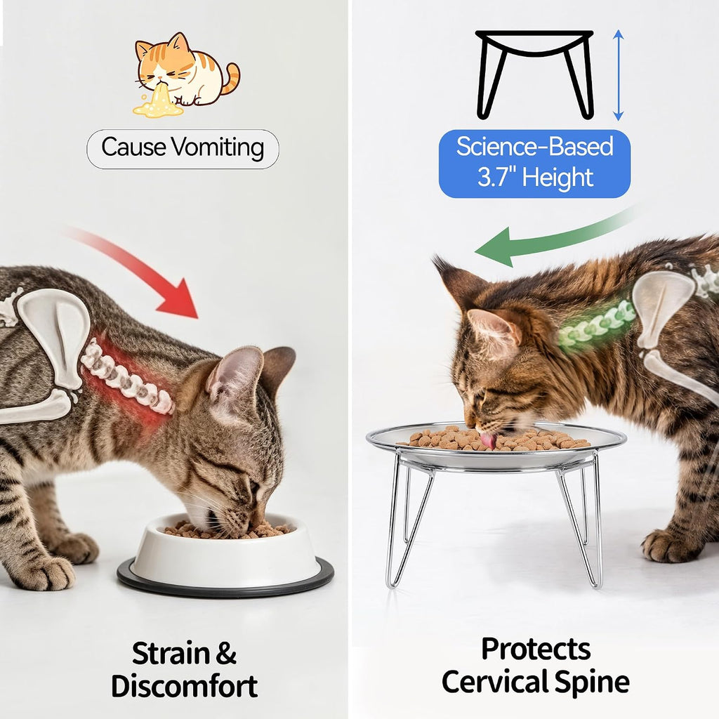 Elevated Cat Bowls, 304 Stainless Steel Raised Cat Dishes, Extra Wide Shallow Cat Bowl for Whisker Fatigue Relief & Flat