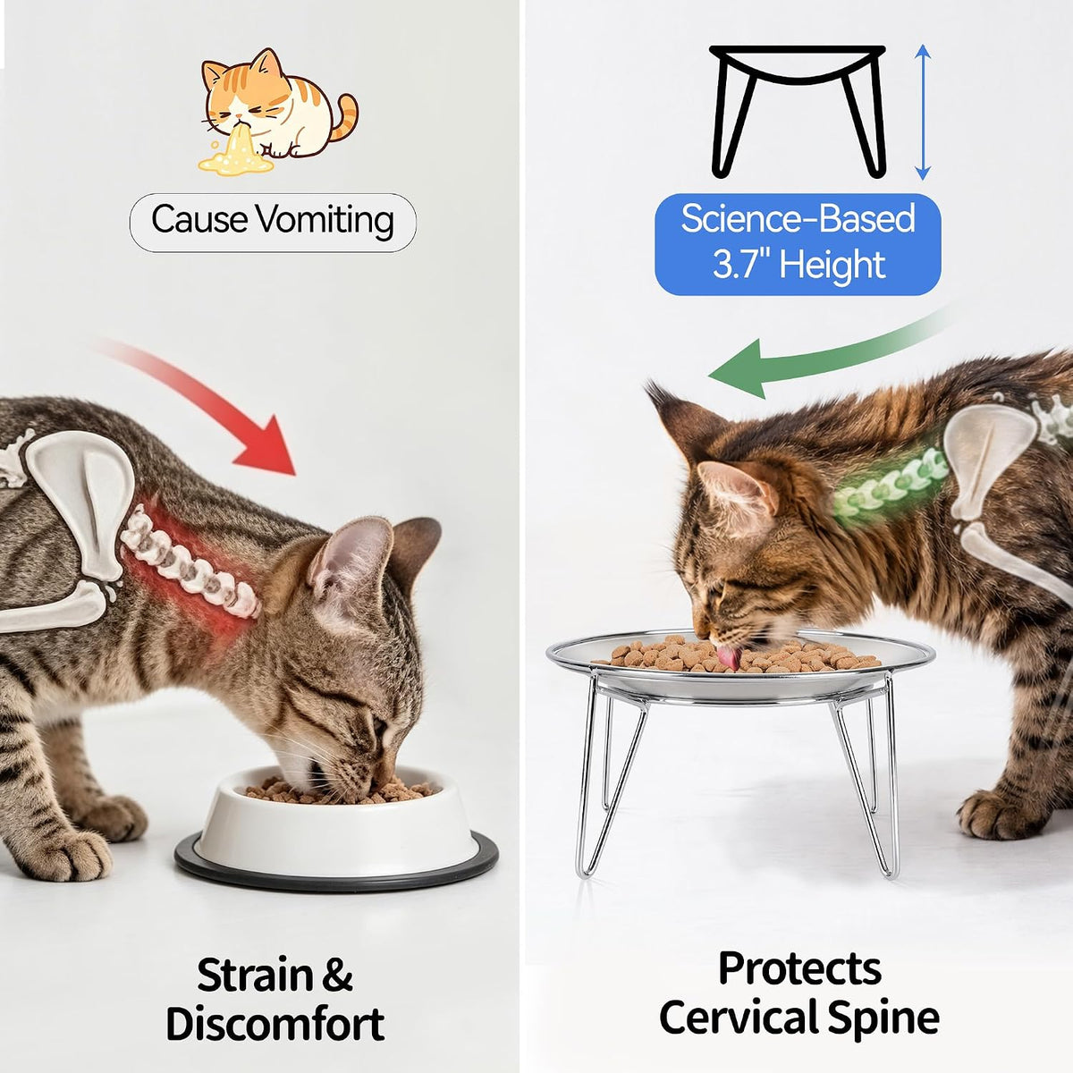 Elevated Cat Bowls, 304 Stainless Steel Raised Cat Dishes, Extra Wide Shallow Cat Bowl for Whisker Fatigue Relief & Flat